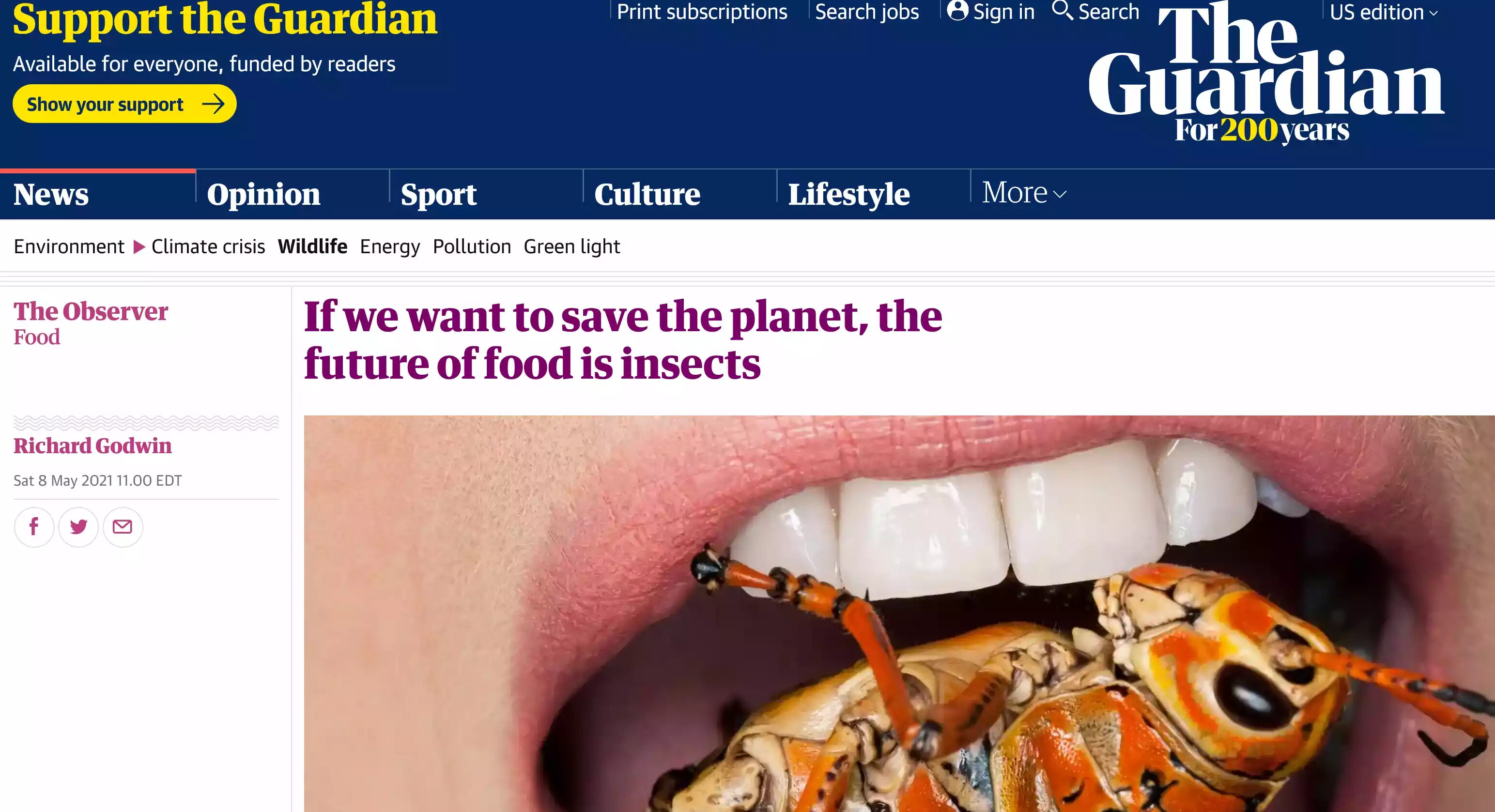 Guardian eat bugs