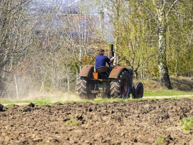 farmer