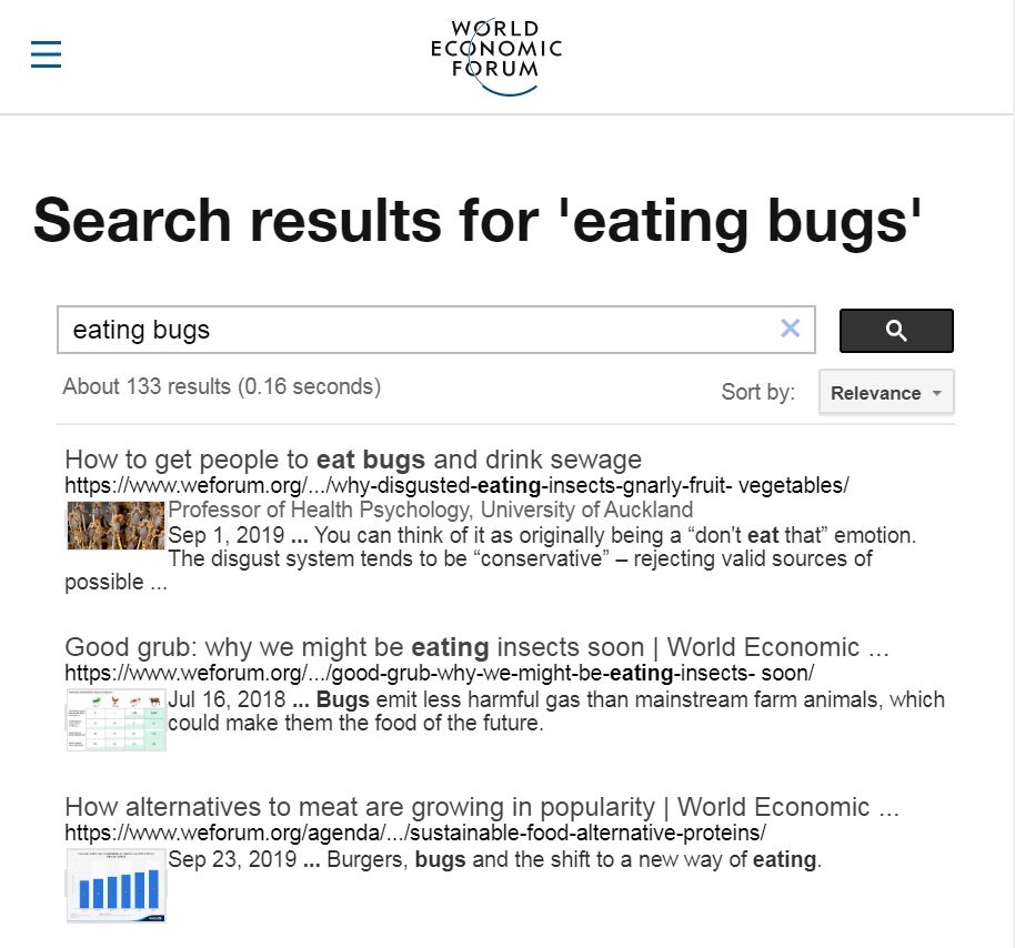 eating bugs search