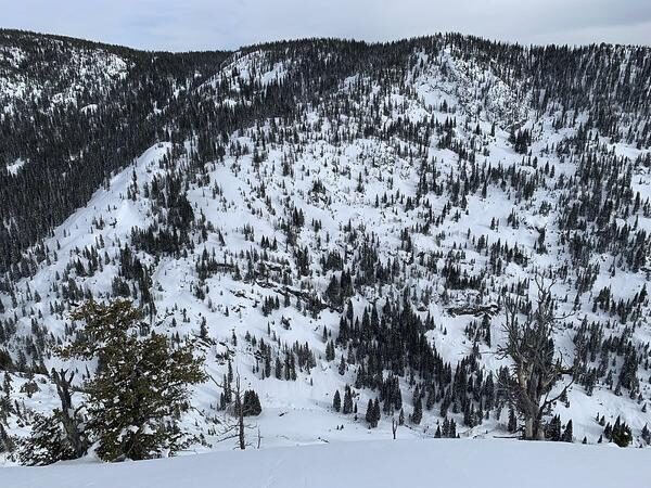 This photo provided by Colorado Avalanche