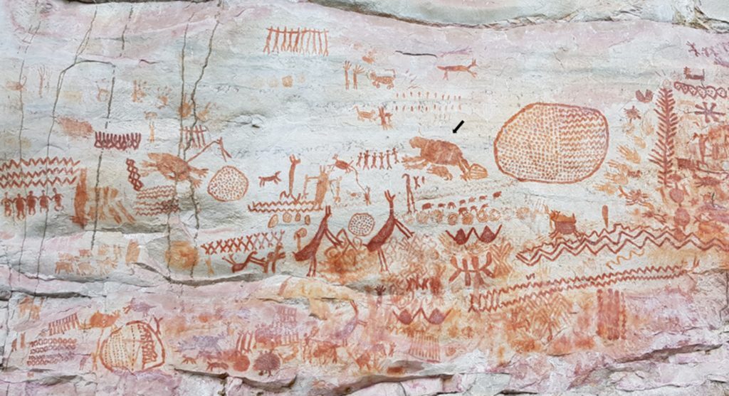 Click to enlarge Amazon prehistoric rock art