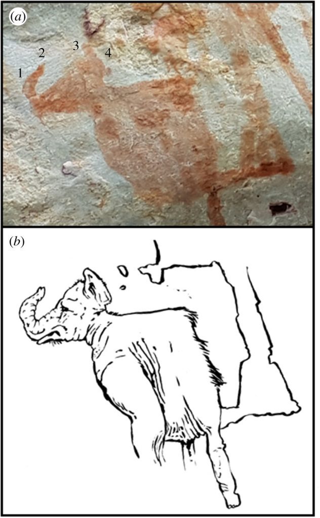 Click to enlarge Amazon prehistoric rock art