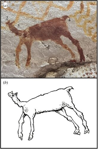 Click to enlarge Amazon prehistoric rock art