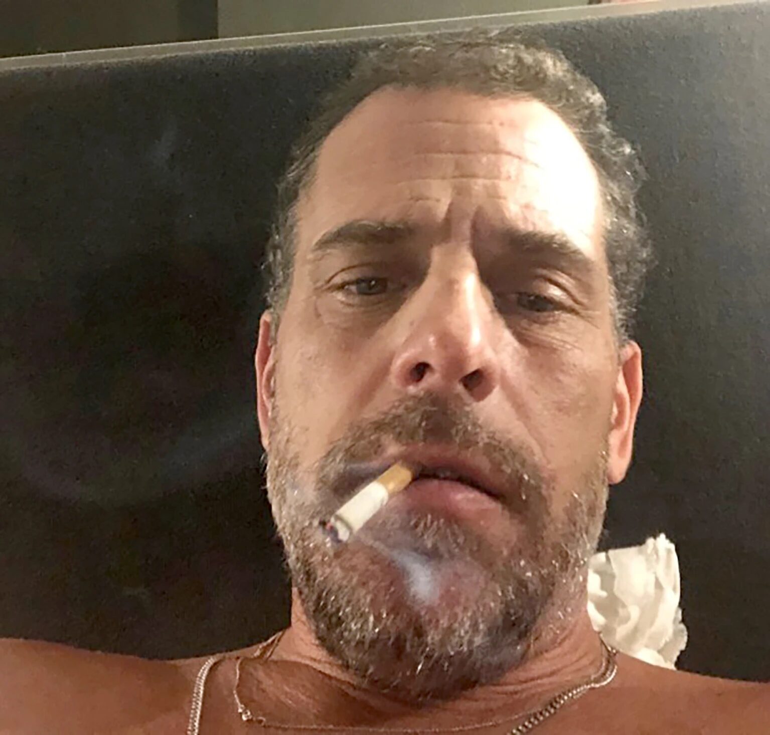 hunter biden laptop image