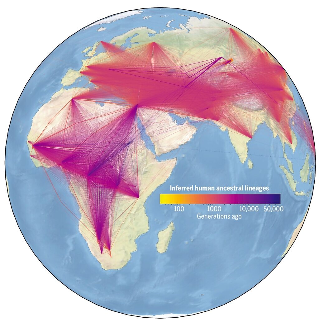 Click to enlarge ancestors human race genomes