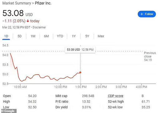 Pfizer Marker Sumary