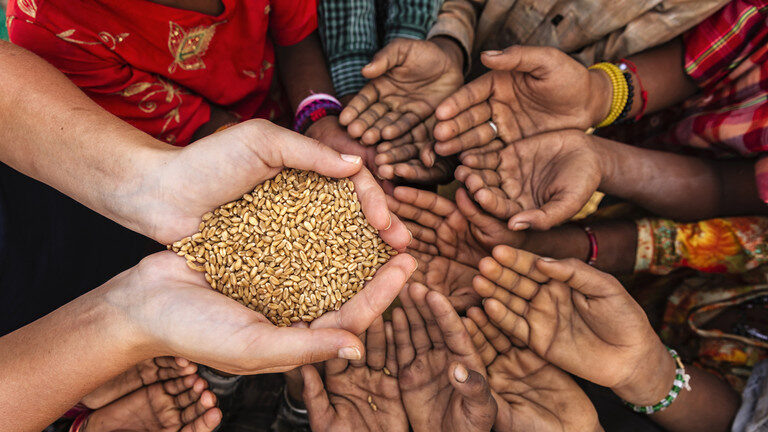 food grain