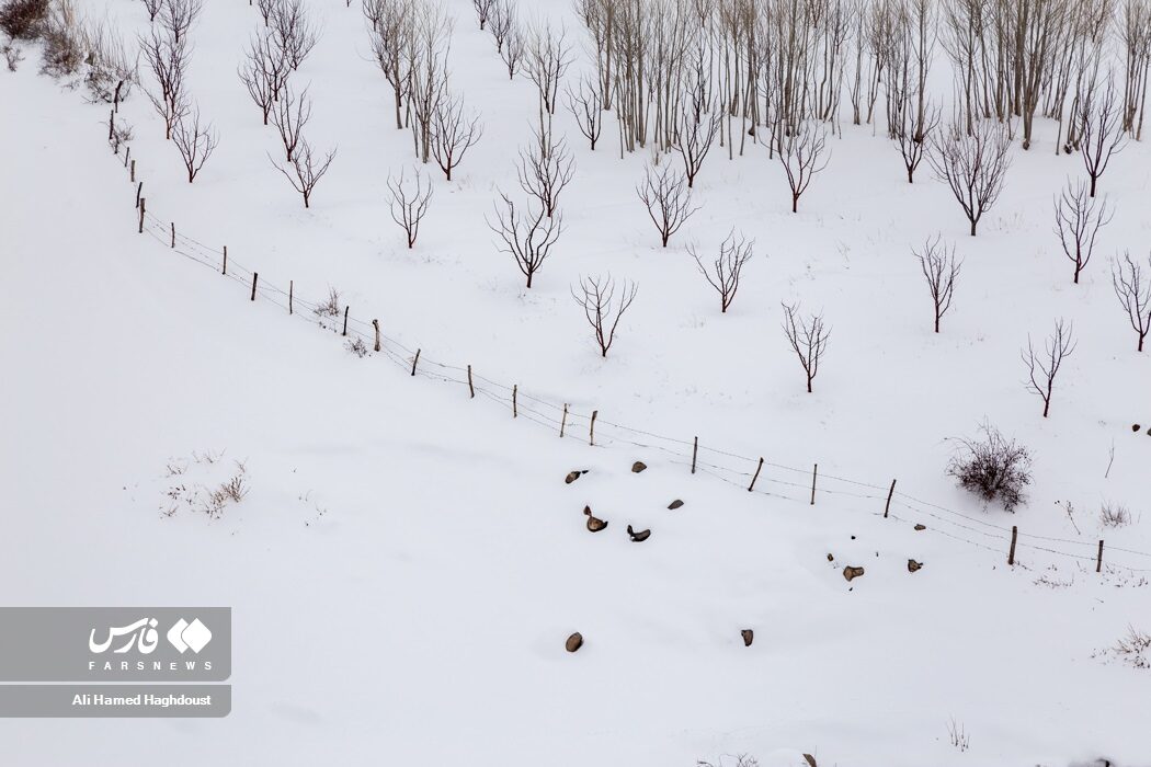 snow