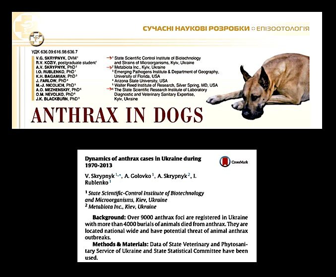 Click to enlarge Dog anthrax