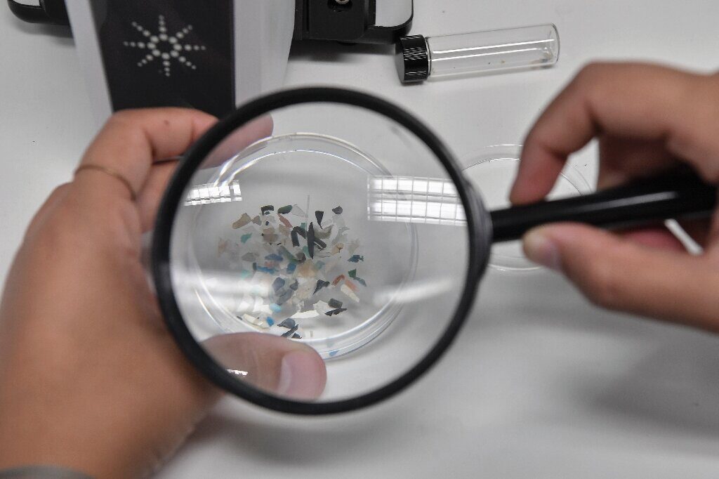 Click to enlarge Microplastics