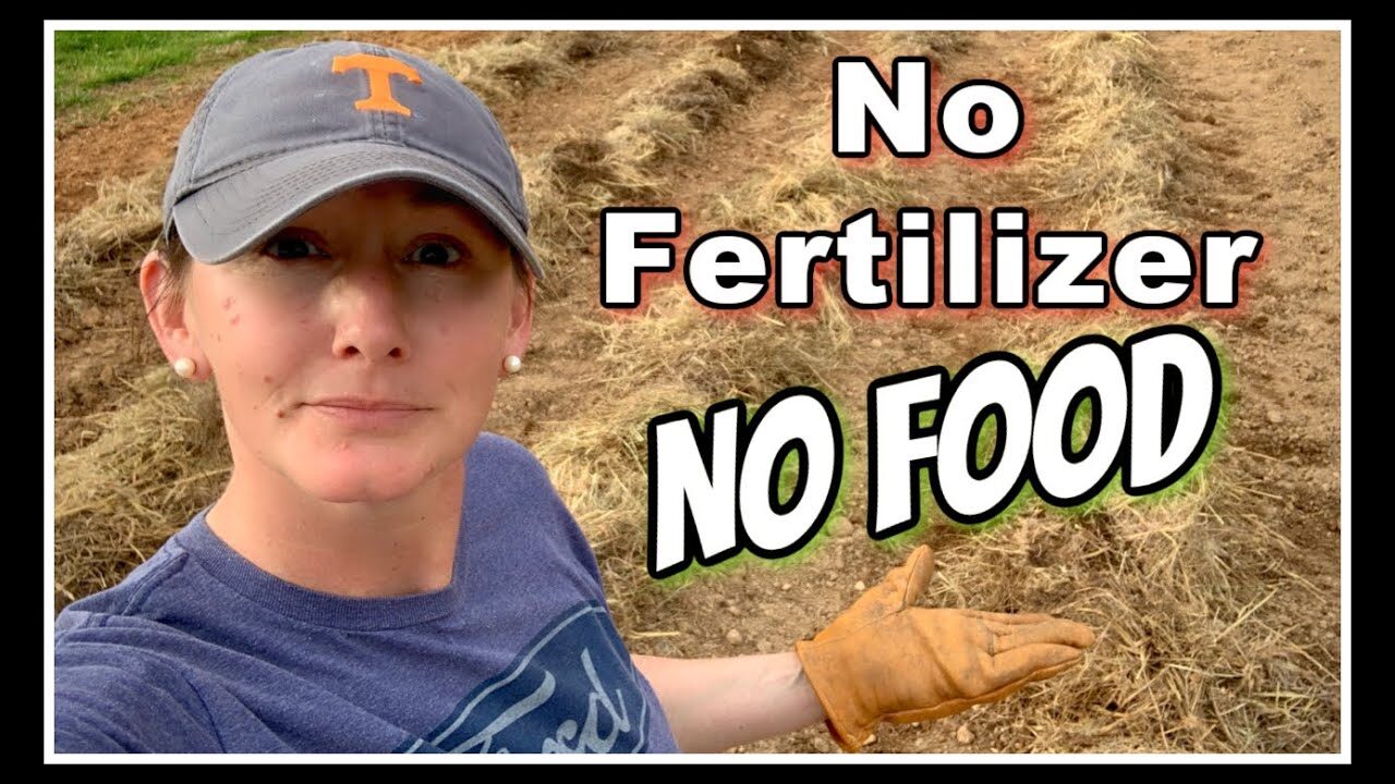 no food