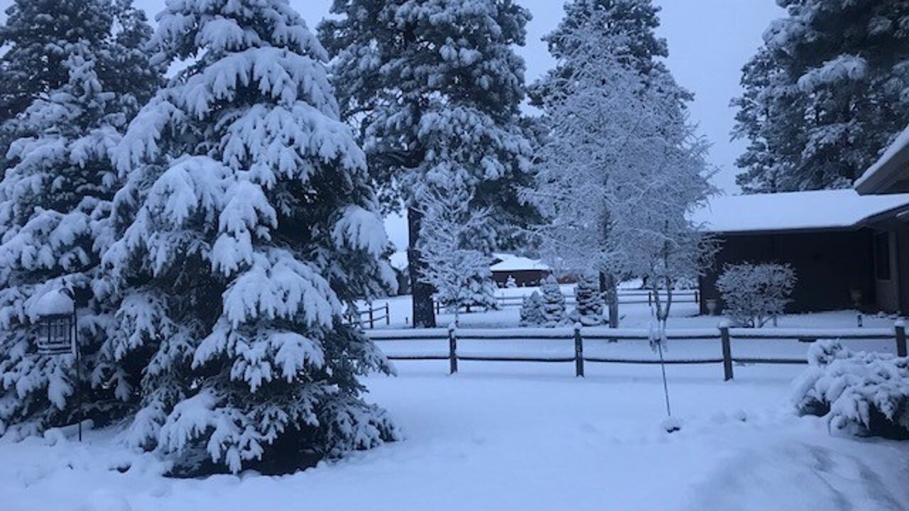 snow