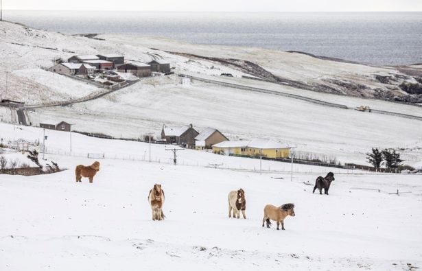 Click to enlarge Parts of Scotland have woken up to a blanket of snow this morning.