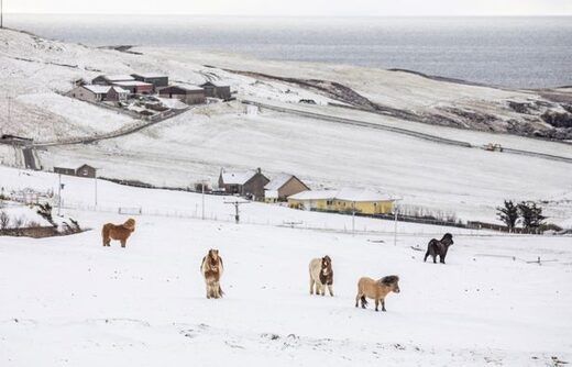 Travel chaos as ice and snow sweep across Scotland amid weather warning