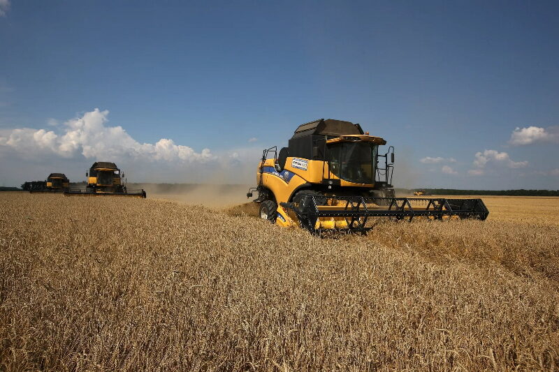 russian wheat harvest