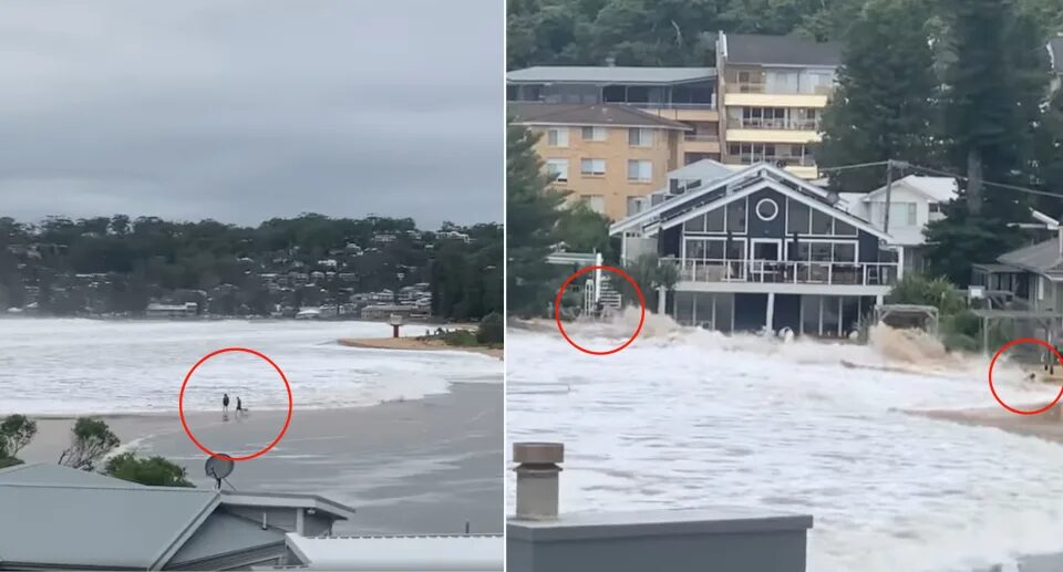 waves new south wales australia tsunami