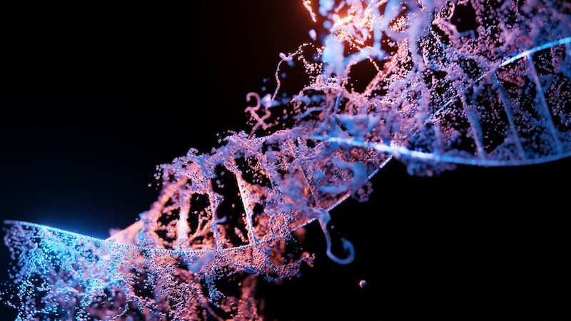 broken dna