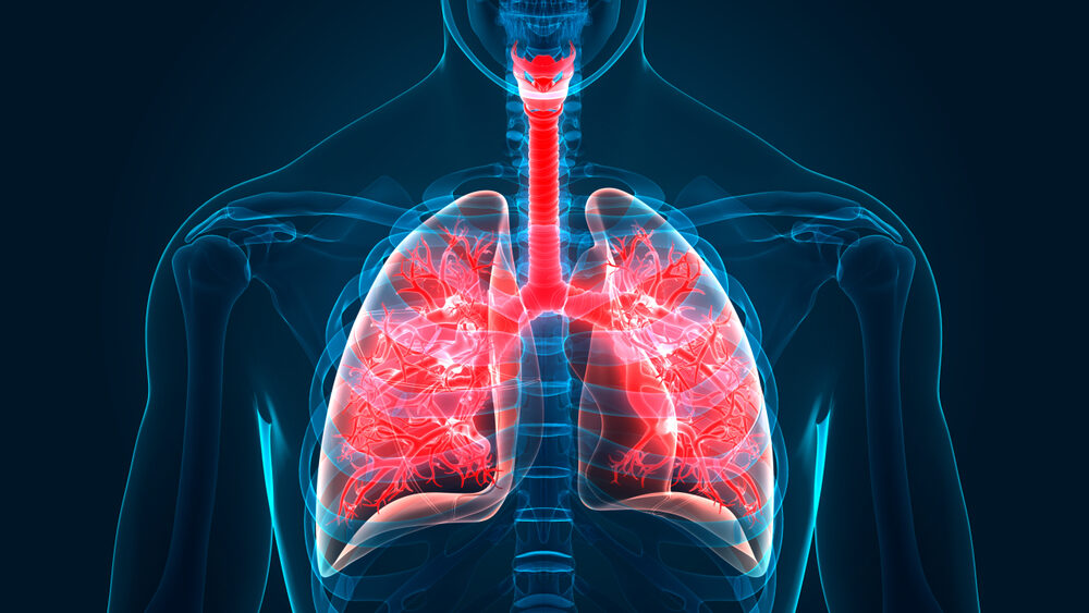 Click to enlarge lungs graphic