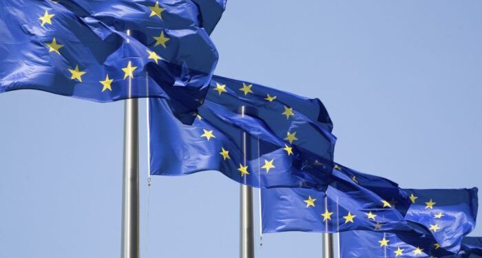 Click to enlarge EU flag