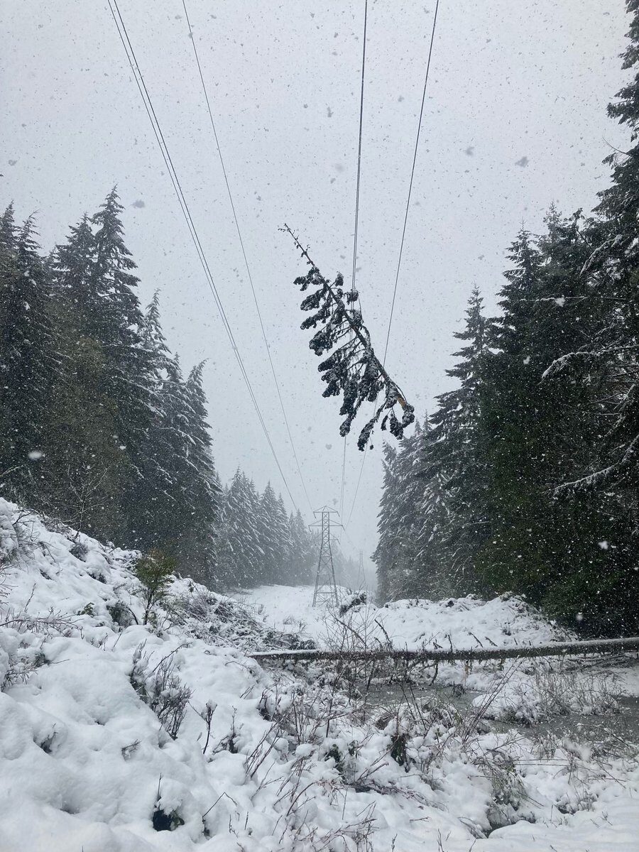 Click to enlarge snow
