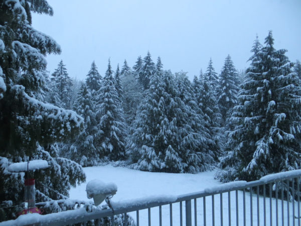 Click to enlarge snow