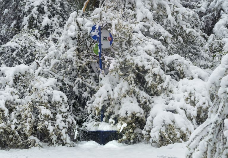 Fallen trees cover a bus stop on Barnes Rd. in Portland, April 11, 2022. Monday’s snowfall is the first measurable snowfall in April in Portland’s recorded history. The snowfall amount varied widely across the city.
