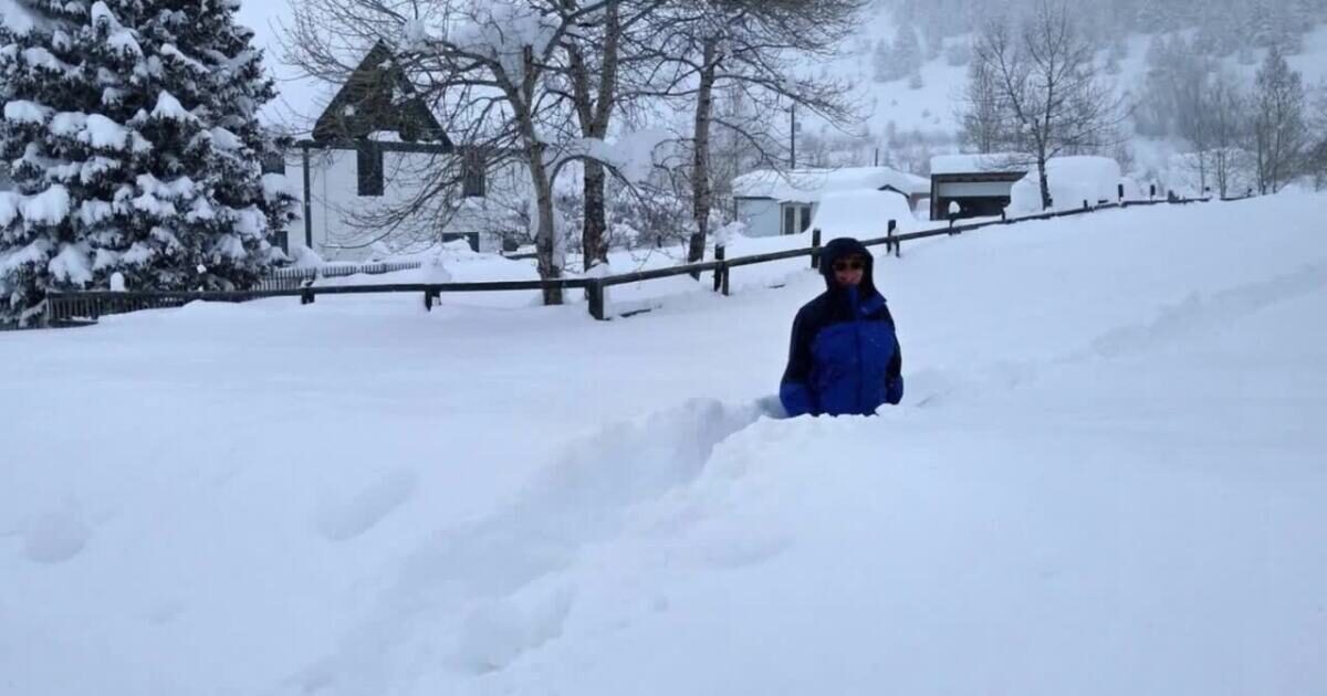Heavy snow closes roads as Pony reports more than 3 feet of snow