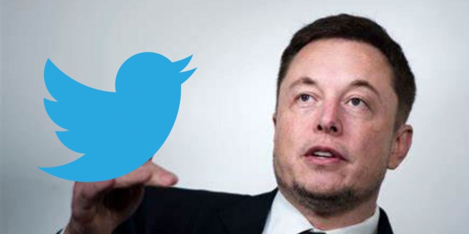 elon musk twitter