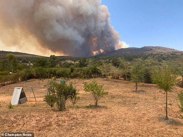 Wildfire kenya british army