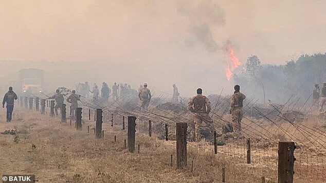 wildfire kenya british army