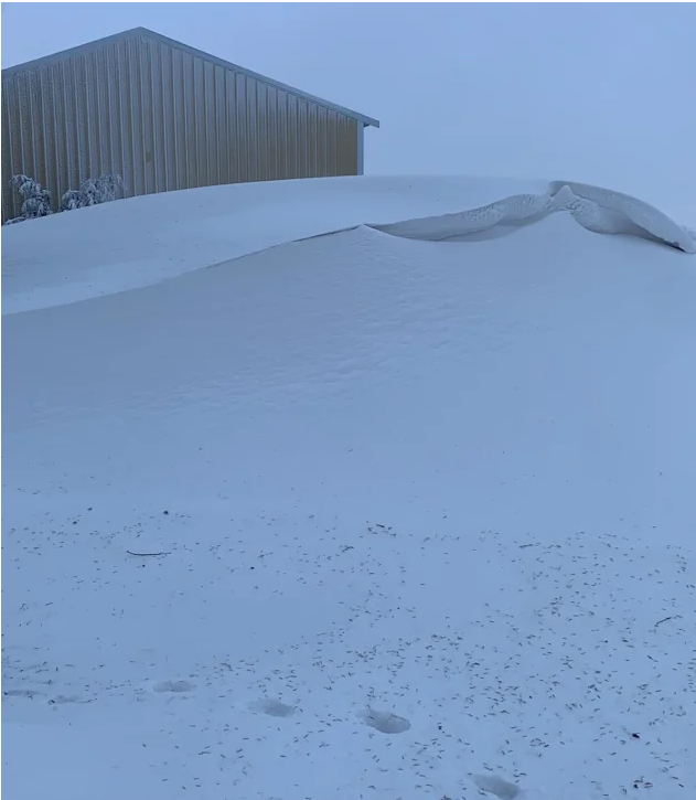 Snow drifts on a farm in Hannaford, North Dakota, were estimated to be about 11 feet high, according to Justin Campbell, who runs a soybean and wheat farm in the area.