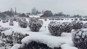 snow