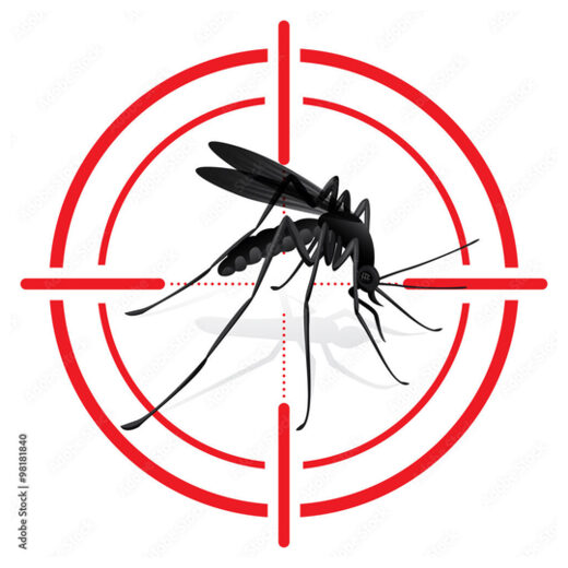 Mosquito Jabs