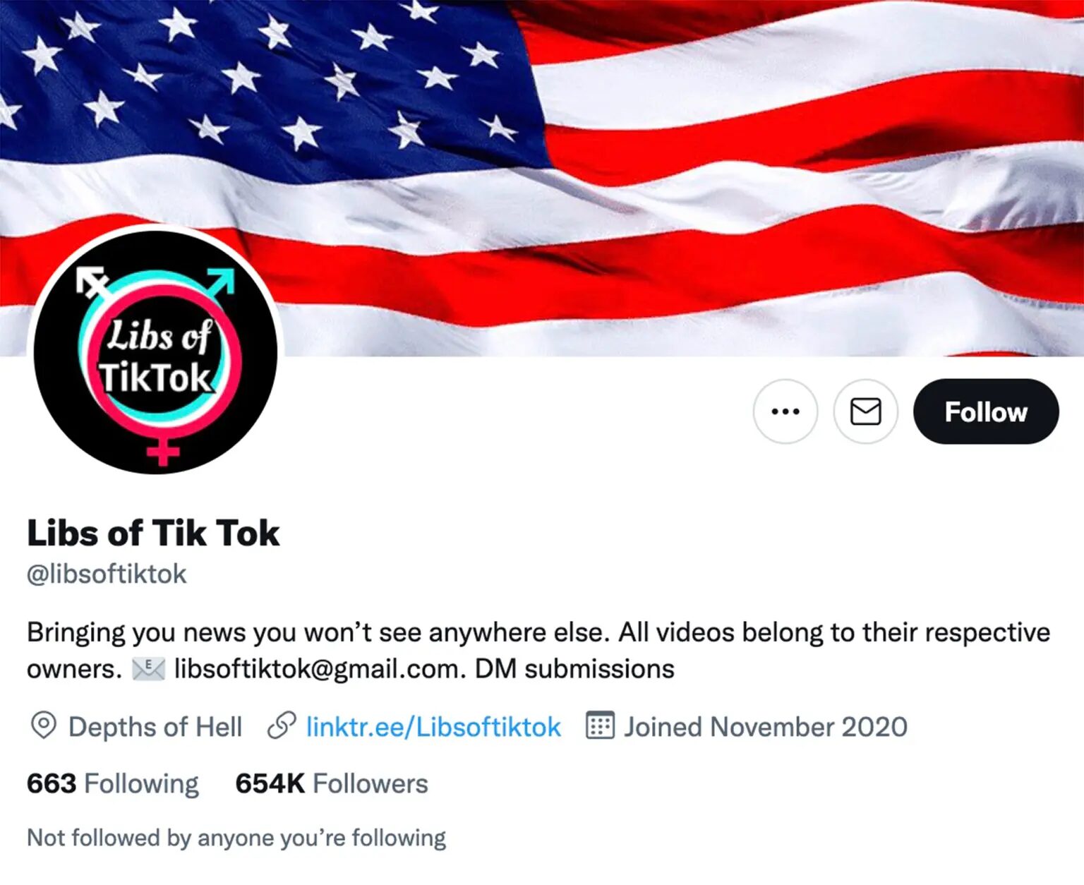 libs of tik tok twitter