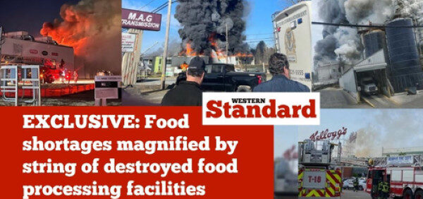 food plants destroyed