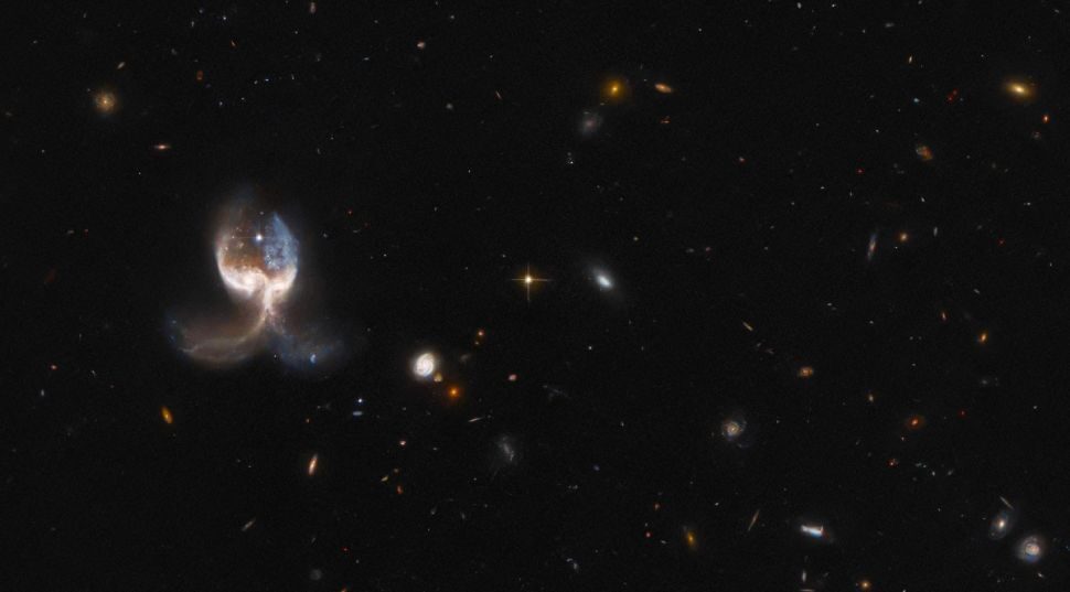 angel wing merging galaxies in the VV689 system