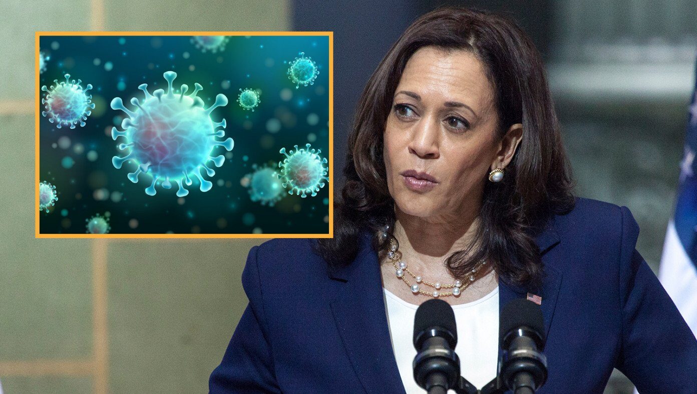 kamala harris covid