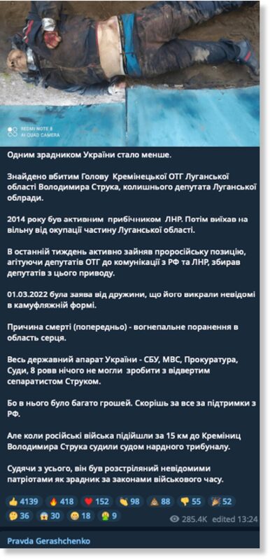 Volodymyr Struk’s death