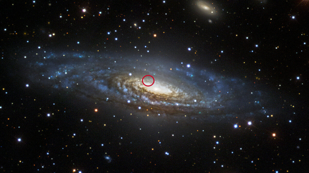 Supernova 2014C
