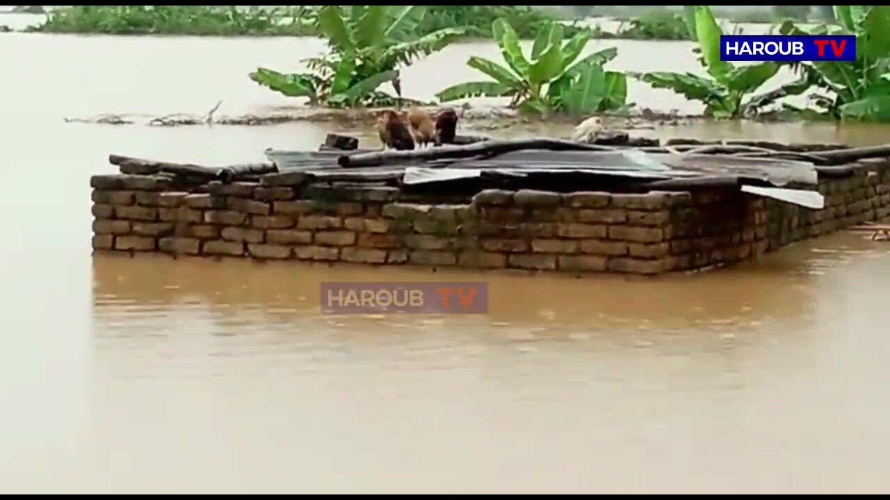 flood