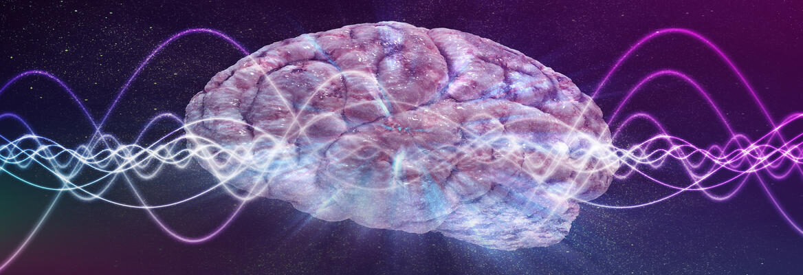 Consciousness & Wave Function