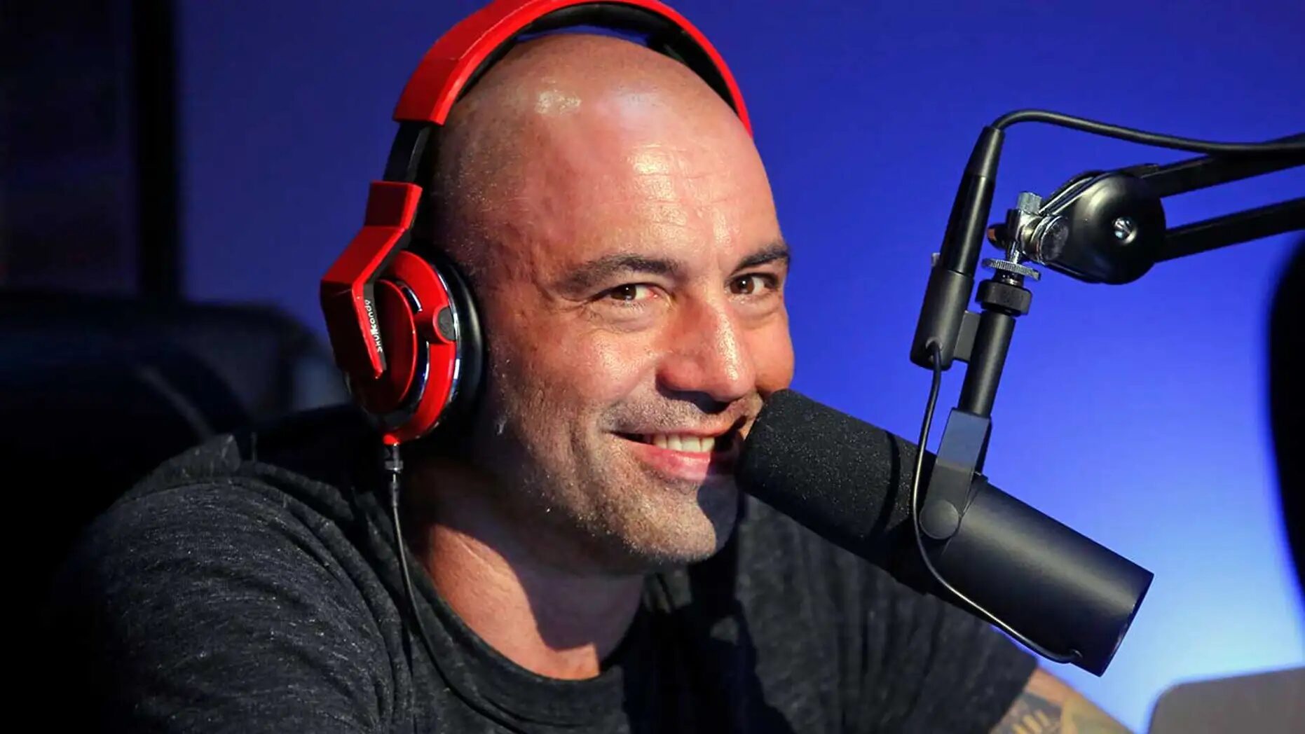 Click to enlarge joe rogan podcast