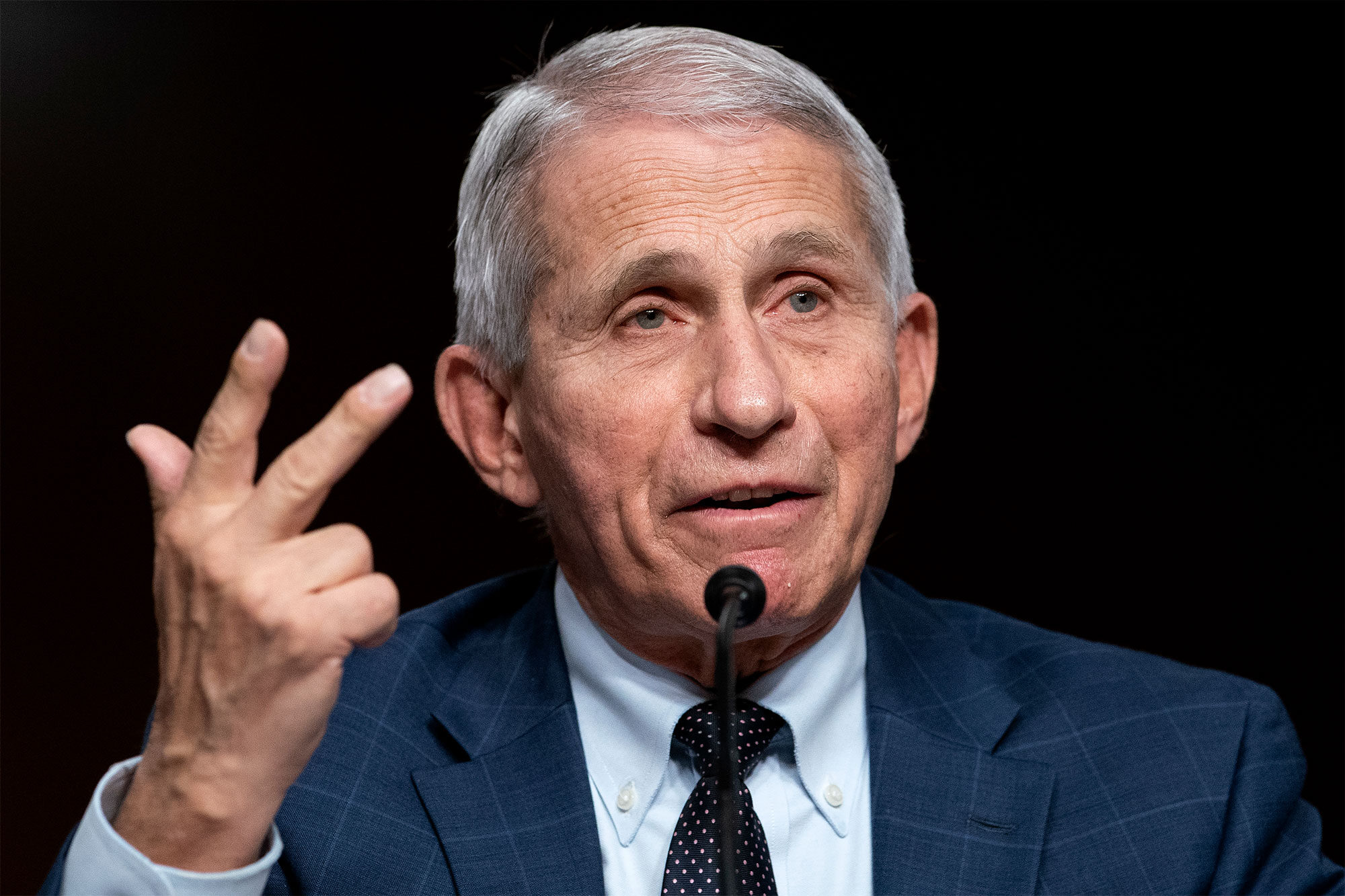 Click to enlarge fauci lawsuit lab leak