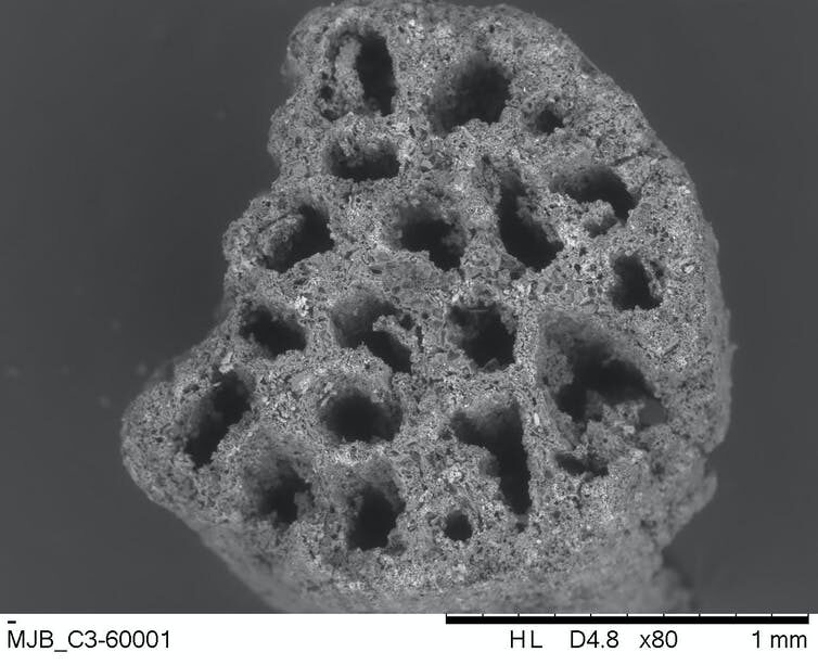 Click to enlarge electron microscope