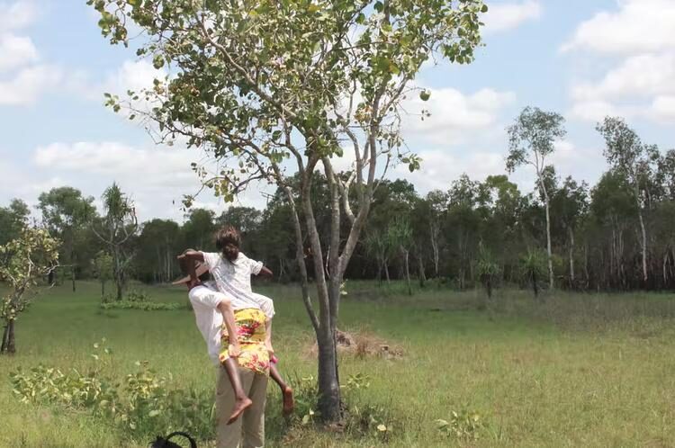 Click to enlarge tree
