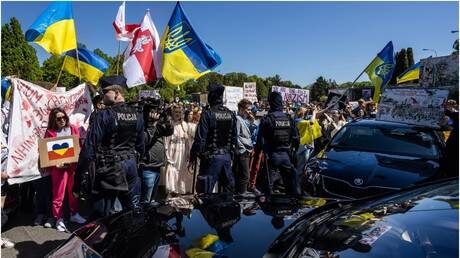 Pro-Ukraine protesters