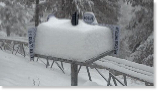 Bogus Basin snow.