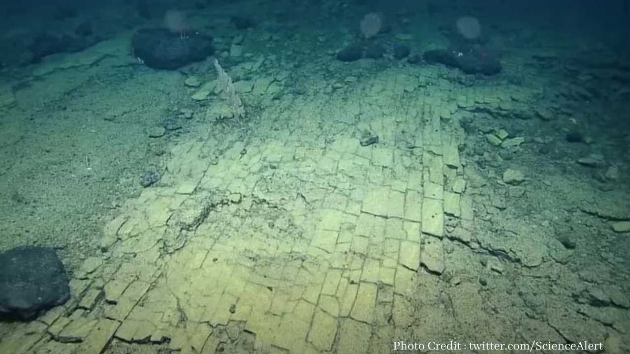 Yellow Road Undersea