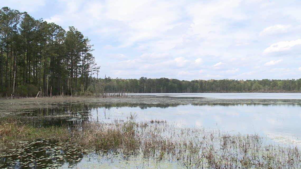 White Pond