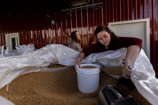 Click to enlarge wheat farmer us